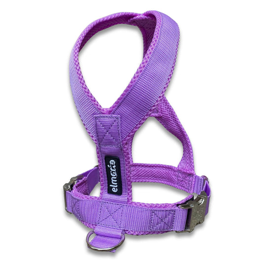 Windhundgeschirr gepolstert Geschirr Whippet, Galgo, Podenco, Greyhound Farbe flieder