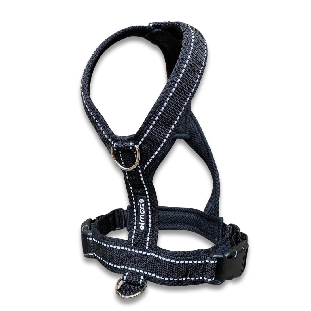 Windhundgeschirr gepolstert Geschirr Whippet, Galgo, Podenco, Greyhound Farbe schwarz Reflektor