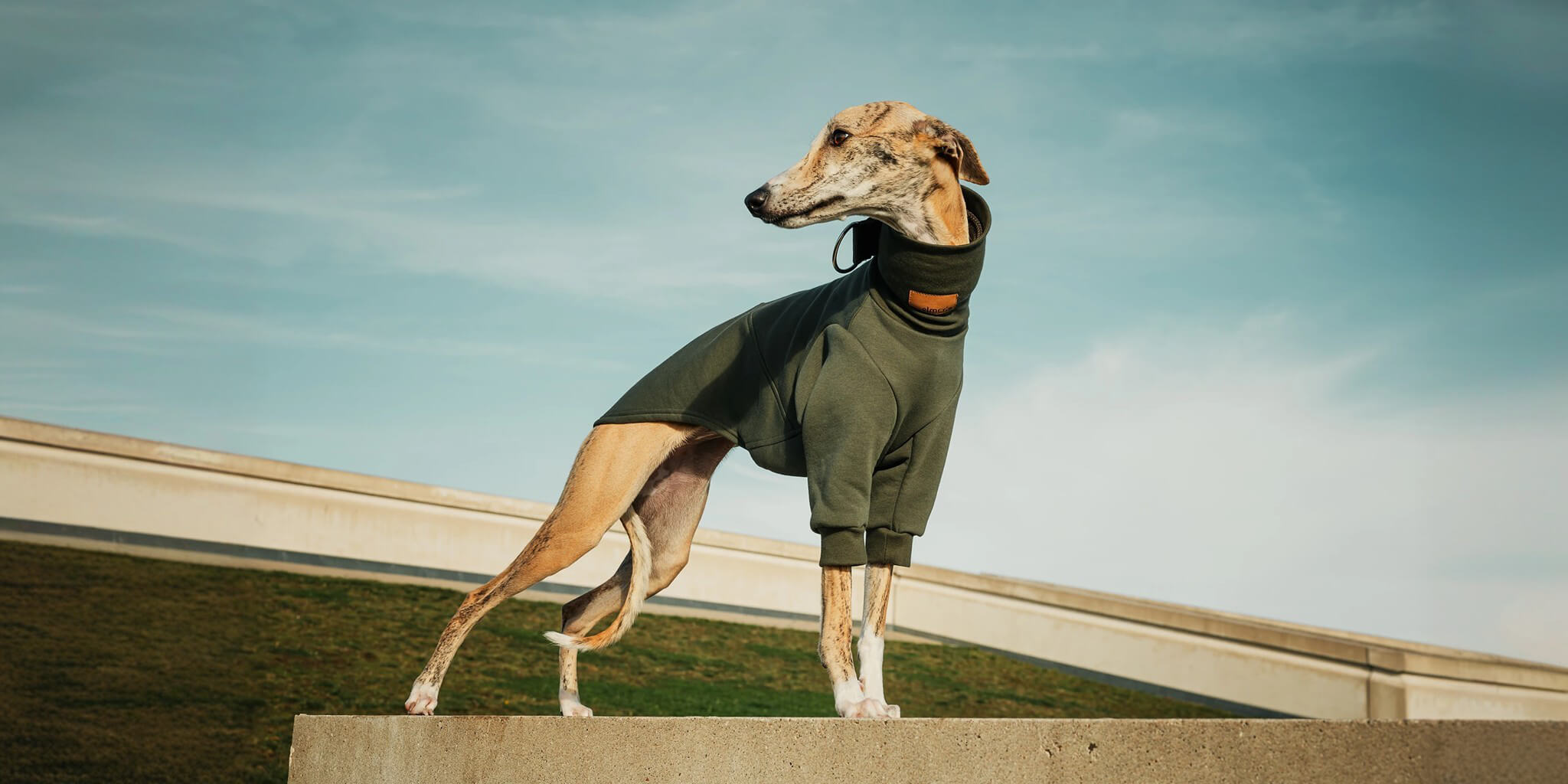 Der Aspen Windhund-Overall
