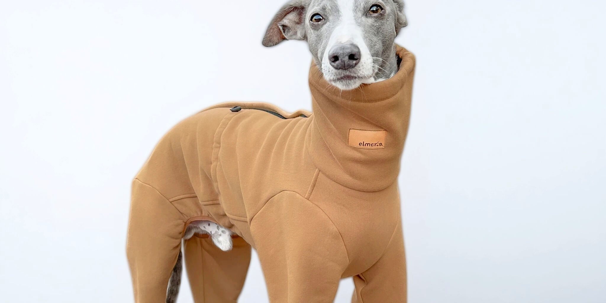 Der Nuuk Windhund-Overall