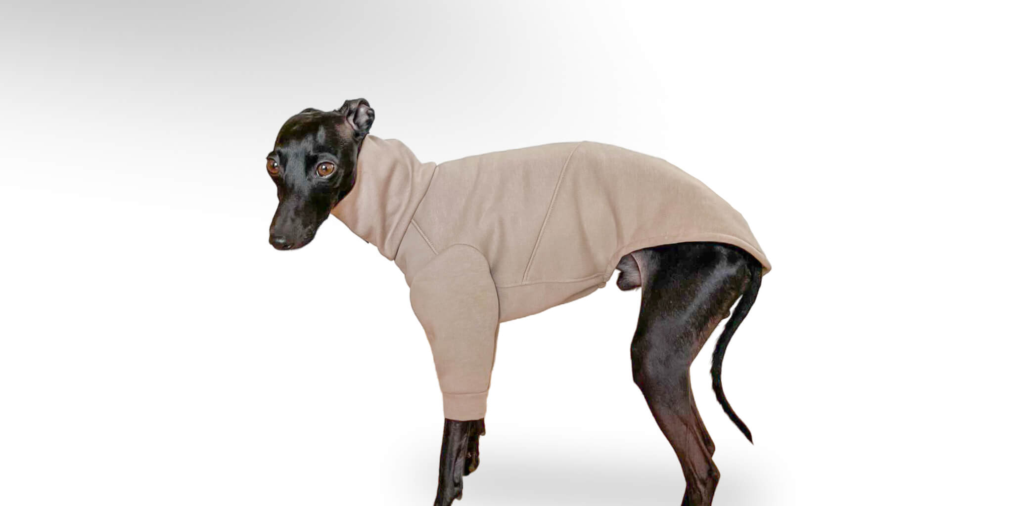 Der Aspen Windspiel & Windhundwelpen Mini-Overall