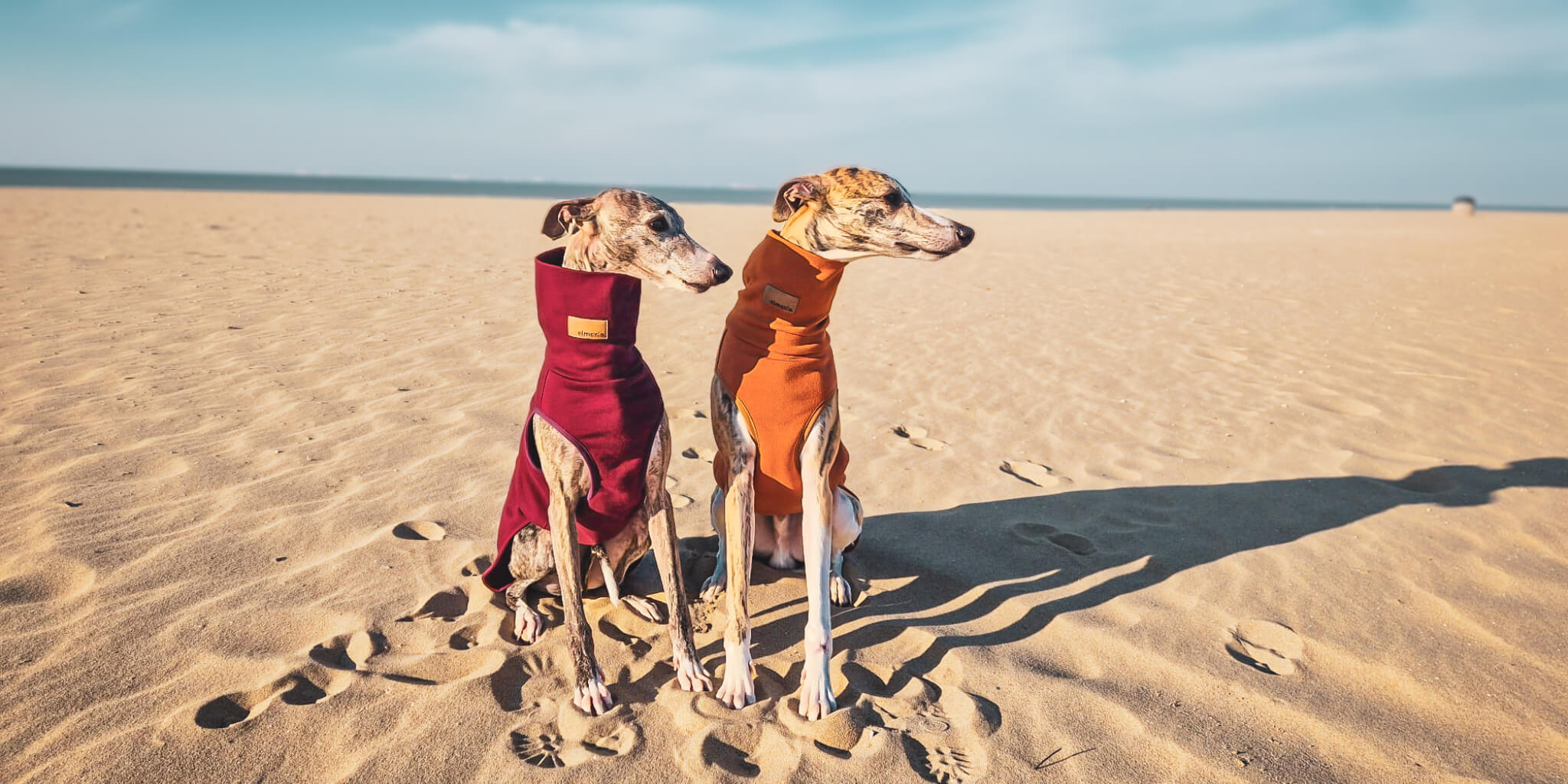 Der Winnipeg Windhundpullover