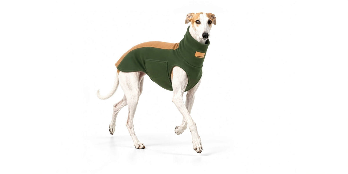 Der Bellin Windhundpullover mit Komfort-Klett