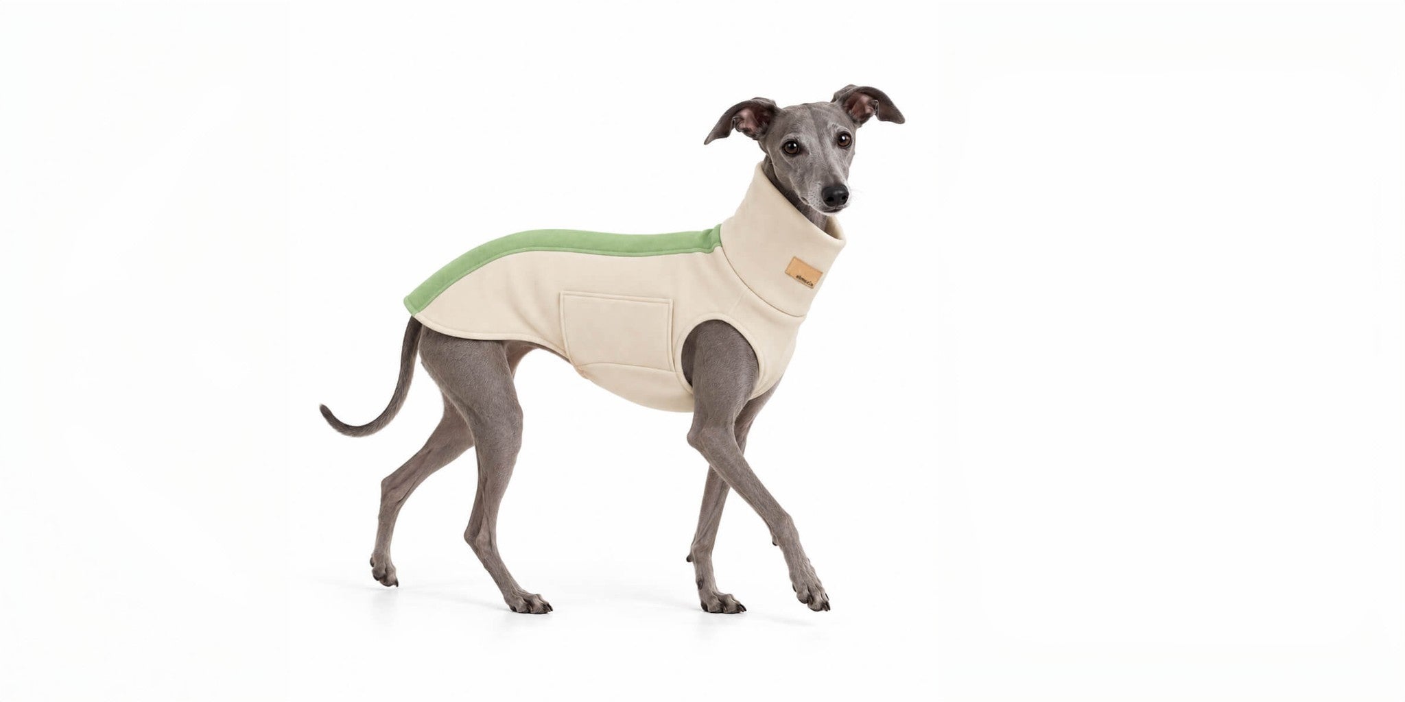 Der Bellin Mini-Windhundpullover mit Komfort-Klett