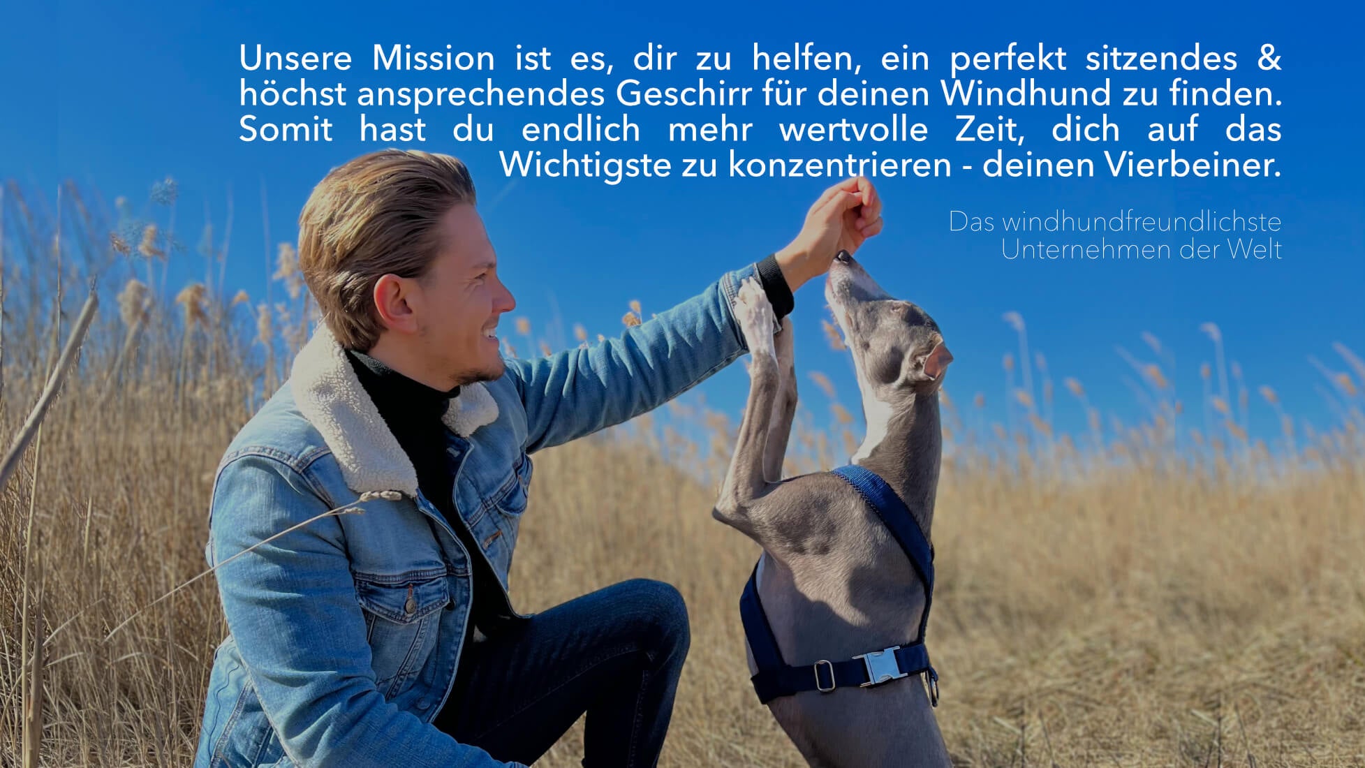 Mission elmorio Windhund Whippet Galgo Podenco Greyhound Geschirr Windhundgeschirr
