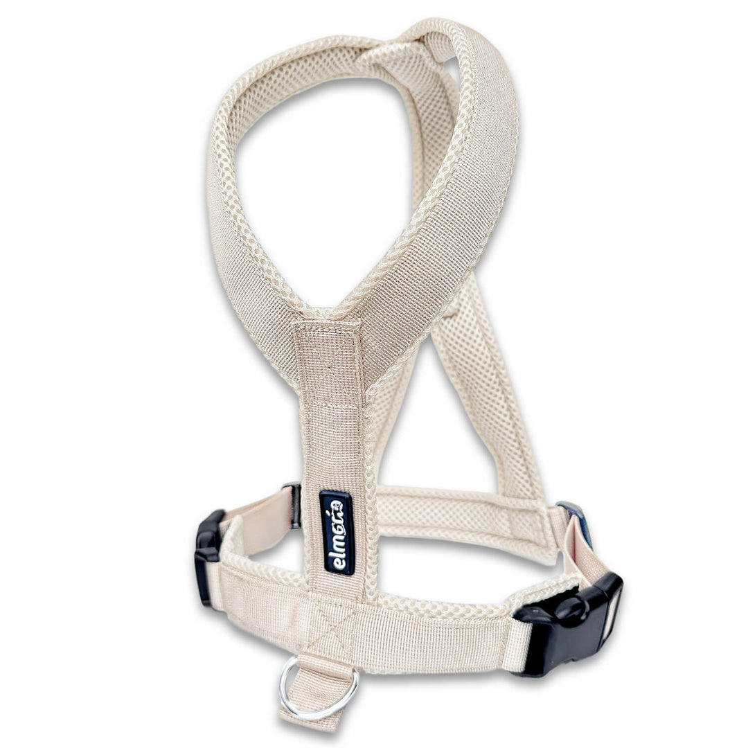 Hellbeiges Windhundgeschirr mit Kunststoffschnallen vor weißen Hintergrunt stehend frontal