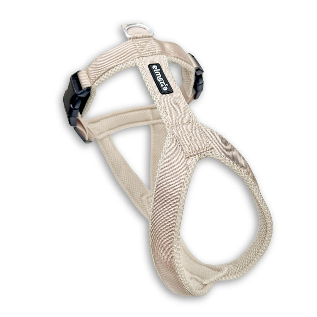Hellbeiges Windhundgeschirr mit Kunststoffschnallen vor weißen Hintergrunt frontal