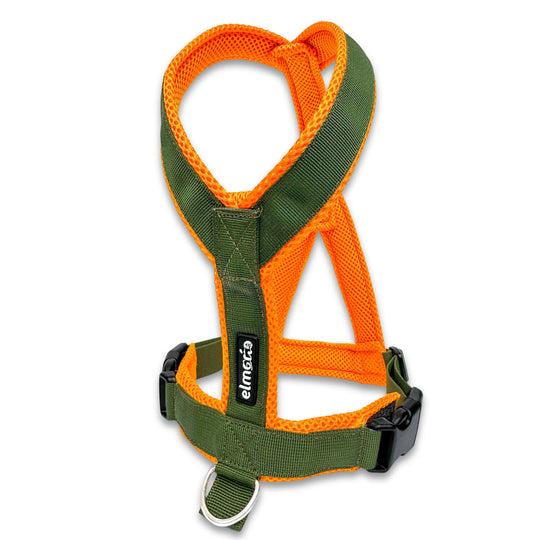 Windhundgeschirr gepolstert Geschirr Whippet, Galgo, Podenco, Greyhound Farbe khaki orange