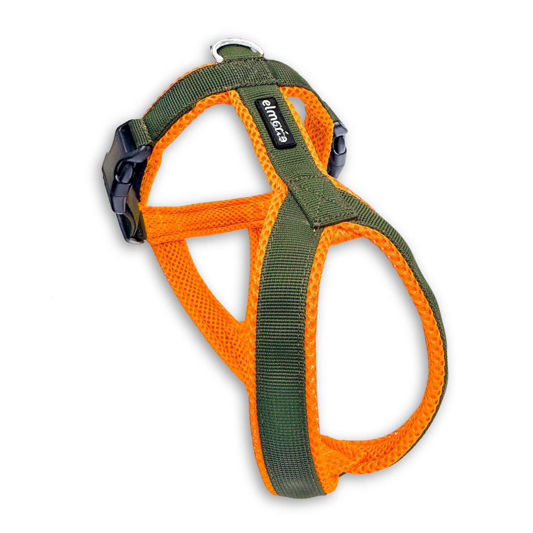 Windhundgeschirr gepolstert Geschirr Whippet, Galgo, Podenco, Greyhound Farbe khaki orange