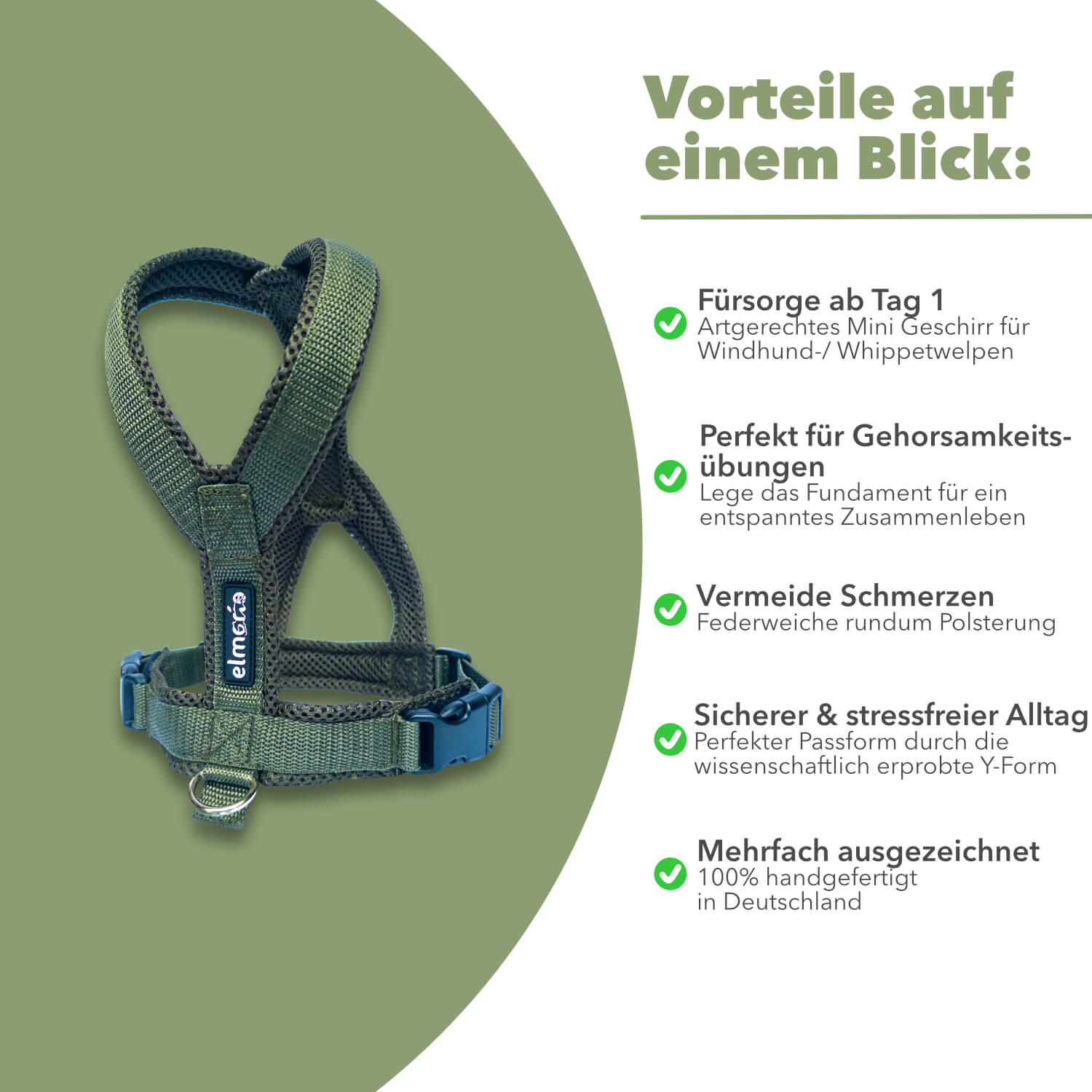 Hundegeschirr FUN Welpe "Mountain Green"
