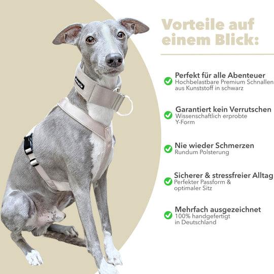 Windhundgeschirr gepolstert Geschirr Whippet, Galgo, Podenco, Greyhound Benefits Farbe hellbeige
