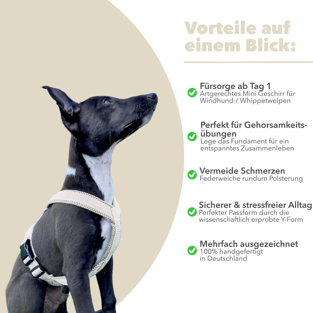 Windhundgeschirr hellbeige gepolstert Geschirr Mini für Windspiele und Windhund Welpen Benefits