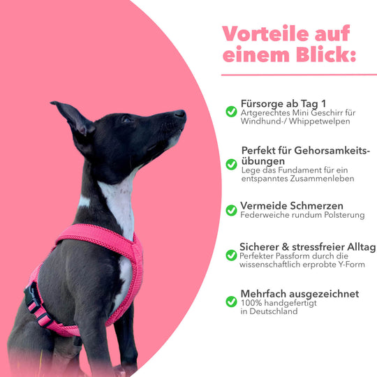 Windhundgeschirr FUN Welpe/Windspiel "Flamingo Pink"