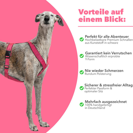 Windhundgeschirr FUN "Flamingo Pink"