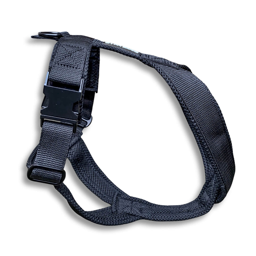 Windhundgeschirr gepolstert Geschirr Whippet, Galgo, Podenco, Greyhound Farbe schwarz