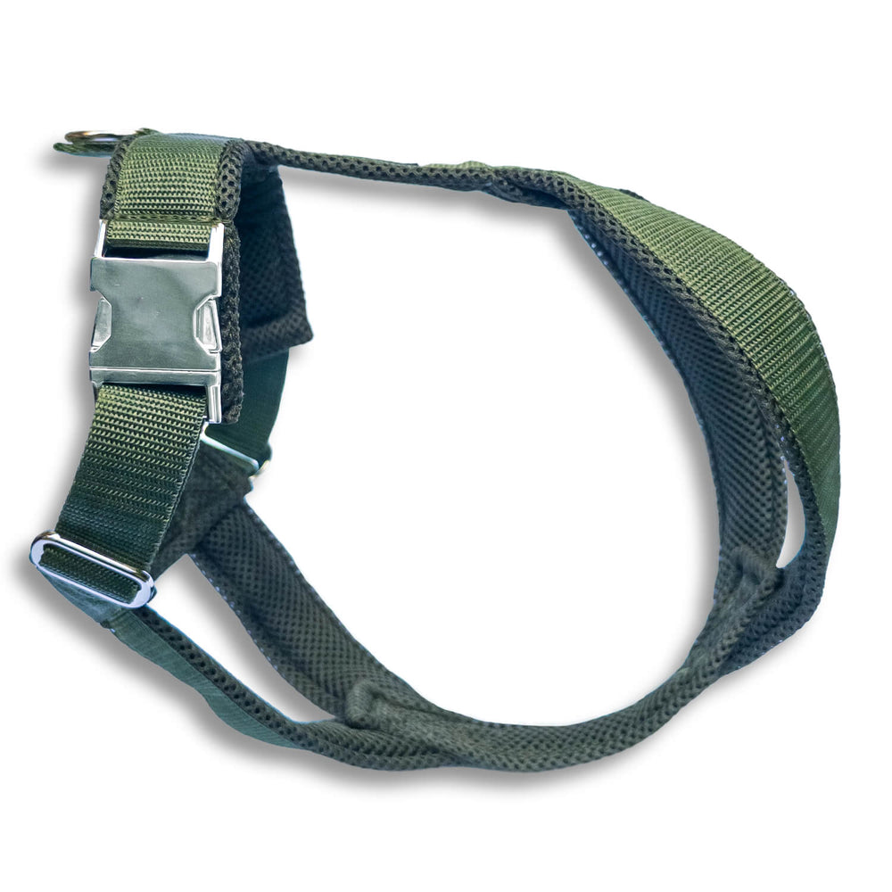 Windhundgeschirr PRO "Mountain Green"