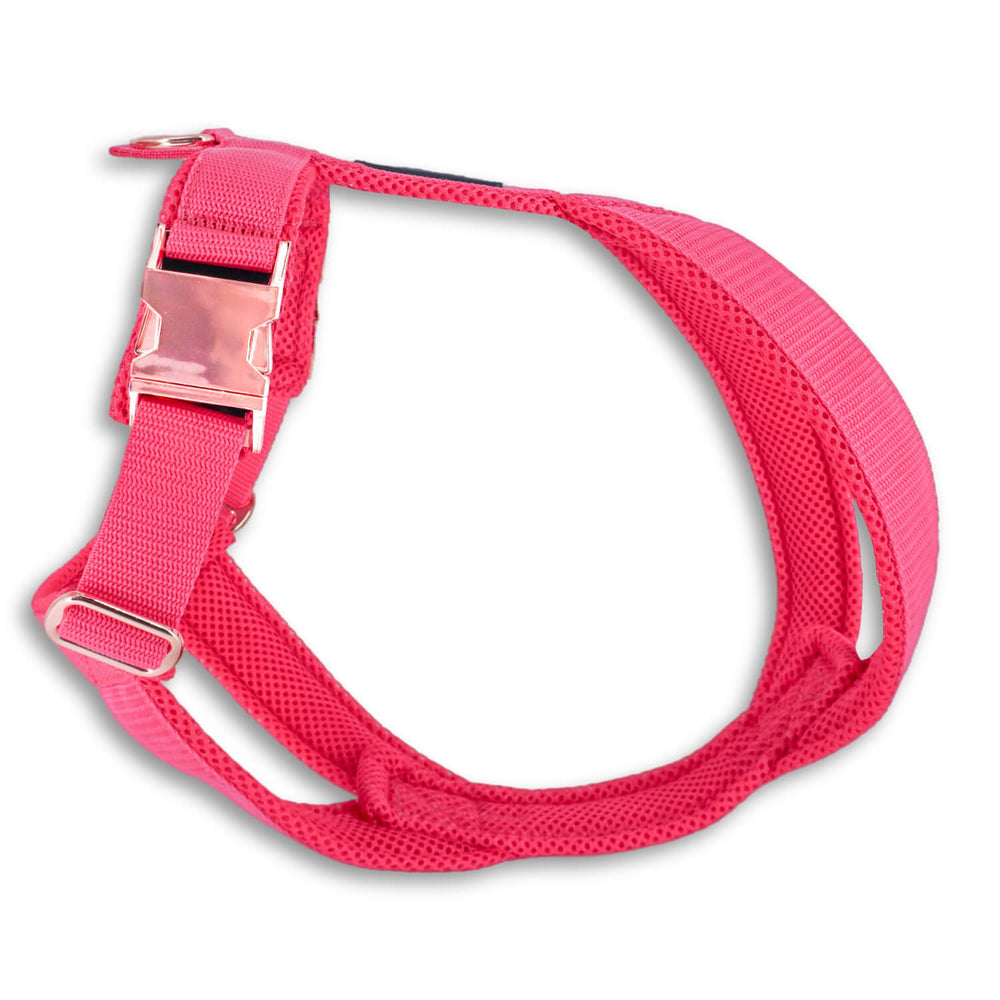 Windhundgeschirr PRO "Flamingo Pink"