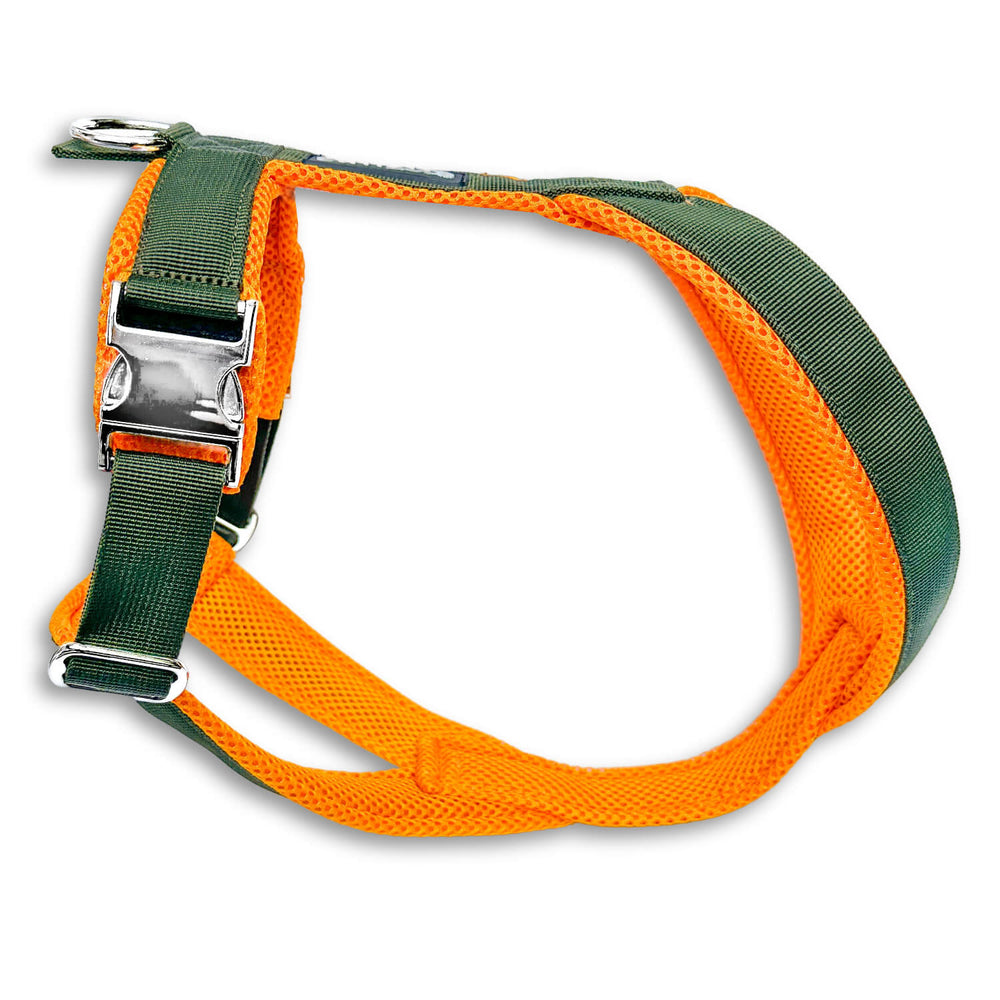 Windhundgeschirr gepolstert Geschirr Whippet, Galgo, Podenco, Greyhound Farbe khaki orange