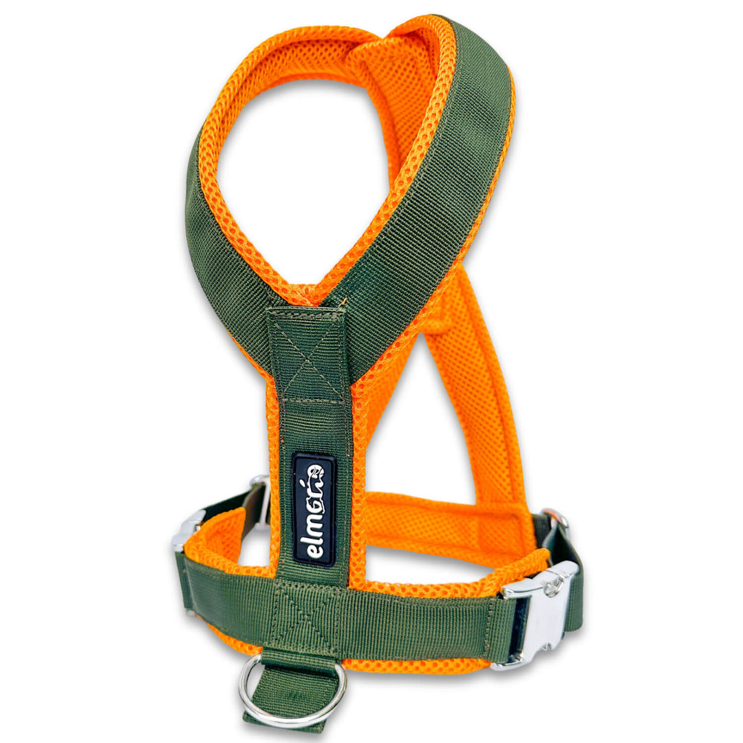 Windhundgeschirr gepolstert Geschirr Whippet, Galgo, Podenco, Greyhound Farbe khaki orange