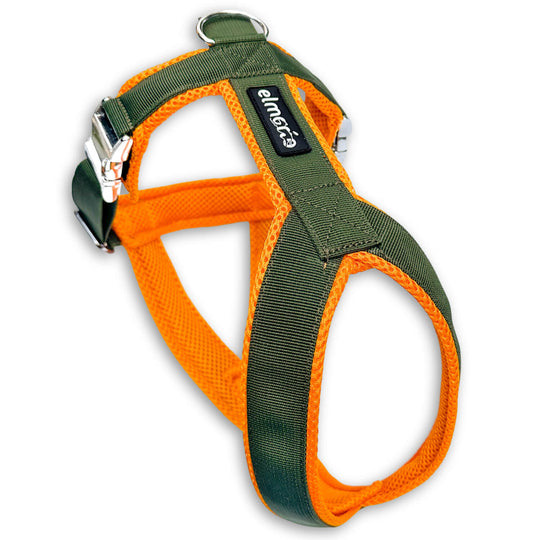 Windhundgeschirr gepolstert Geschirr Whippet, Galgo, Podenco, Greyhound Farbe khaki orange