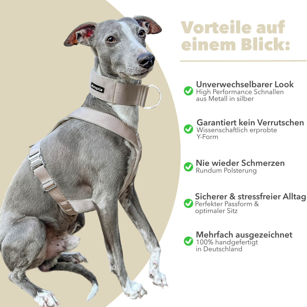 Windhundgeschirr gepolstert Geschirr Whippet, Galgo, Podenco, Greyhound Benefits Farbe hellbeige