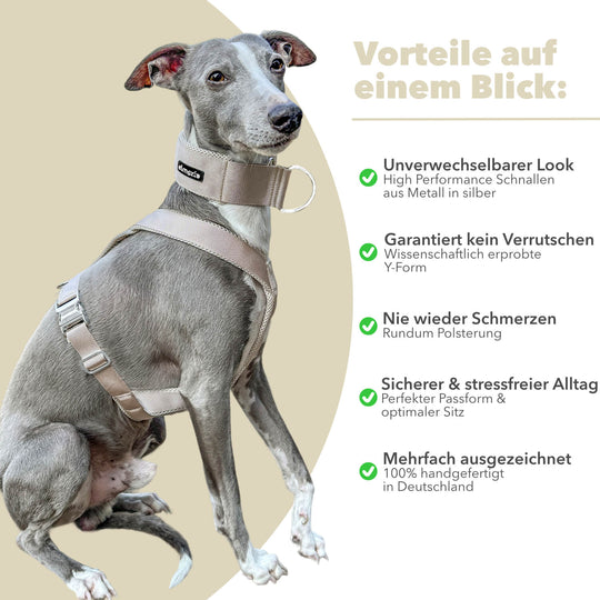 Windhundgeschirr gepolstert Geschirr Whippet, Galgo, Podenco, Greyhound Benefits Farbe hellbeige