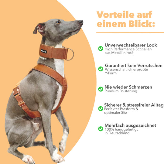 Windhundgeschirr Vorteile gepolstert Geschirr Whippet, Galgo, Podenco, Greyhound Benefits Farbe karamell