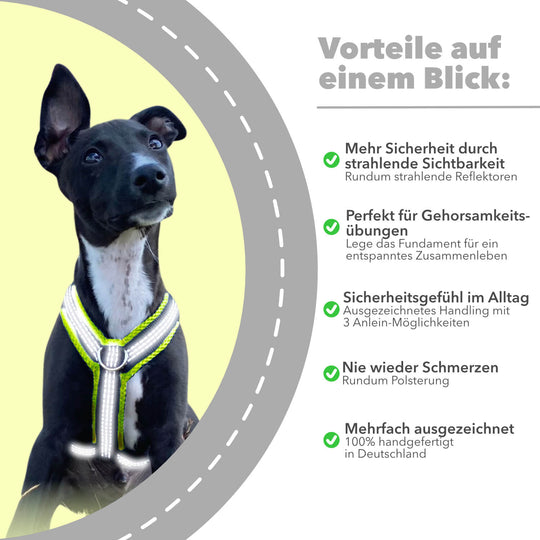 Sighthound Harness REFLEX Puppy/Italian Greyhound “Yellow”