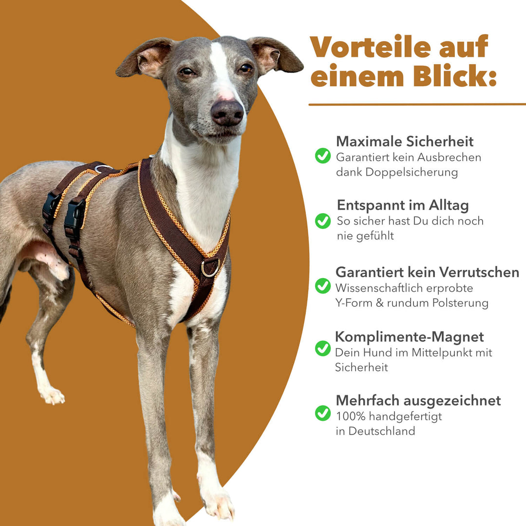 Grauer Whippet mit braunem Sicherheitsgeschirr, daneben Vorteile wie Doppelsicherung, Polsterung und Handarbeit aufgelistet.