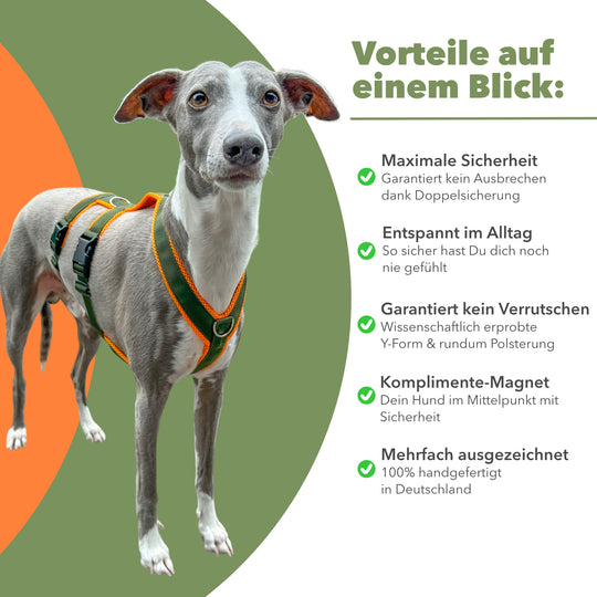 Sicherheitsgeschirr FUN "Hunter O'Green"