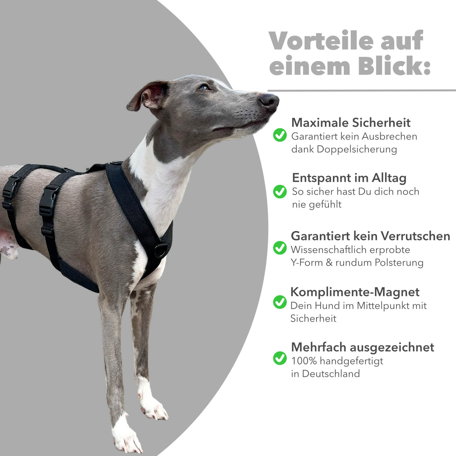Sicherheitsgeschirr Windhund Windhundgeschirr gepolstert Geschirr Whippet, Galgo, Podenco, Greyhound Benefits Farbe schwarz