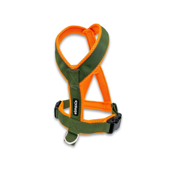 Windhundgeschirr stehend gepolstert Geschirr Whippet, italienisches Windspiel Farbe khaki orange Welpe