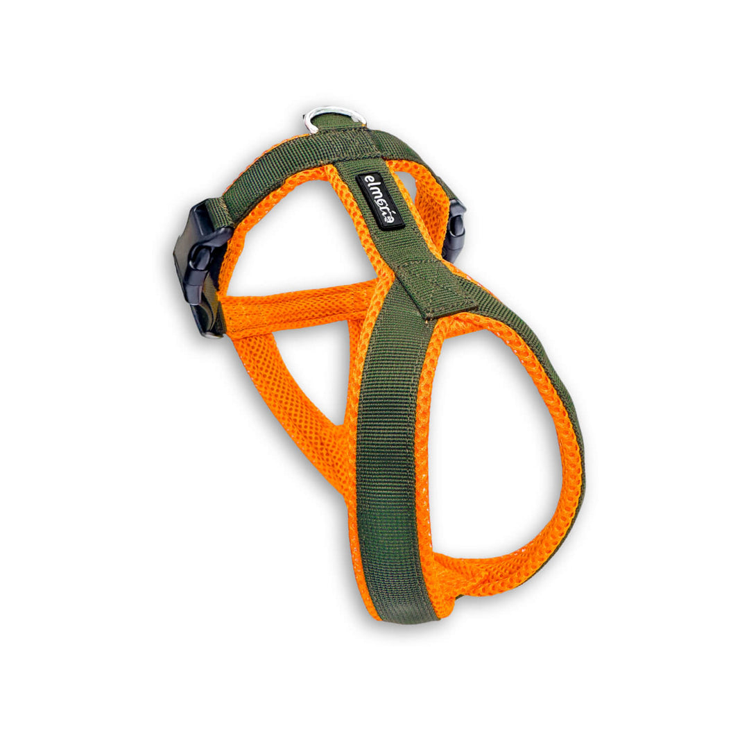 Windhundgeschirr gepolstert Geschirr Whippet, italienisches Windspiel Farbe khaki orange Welpe