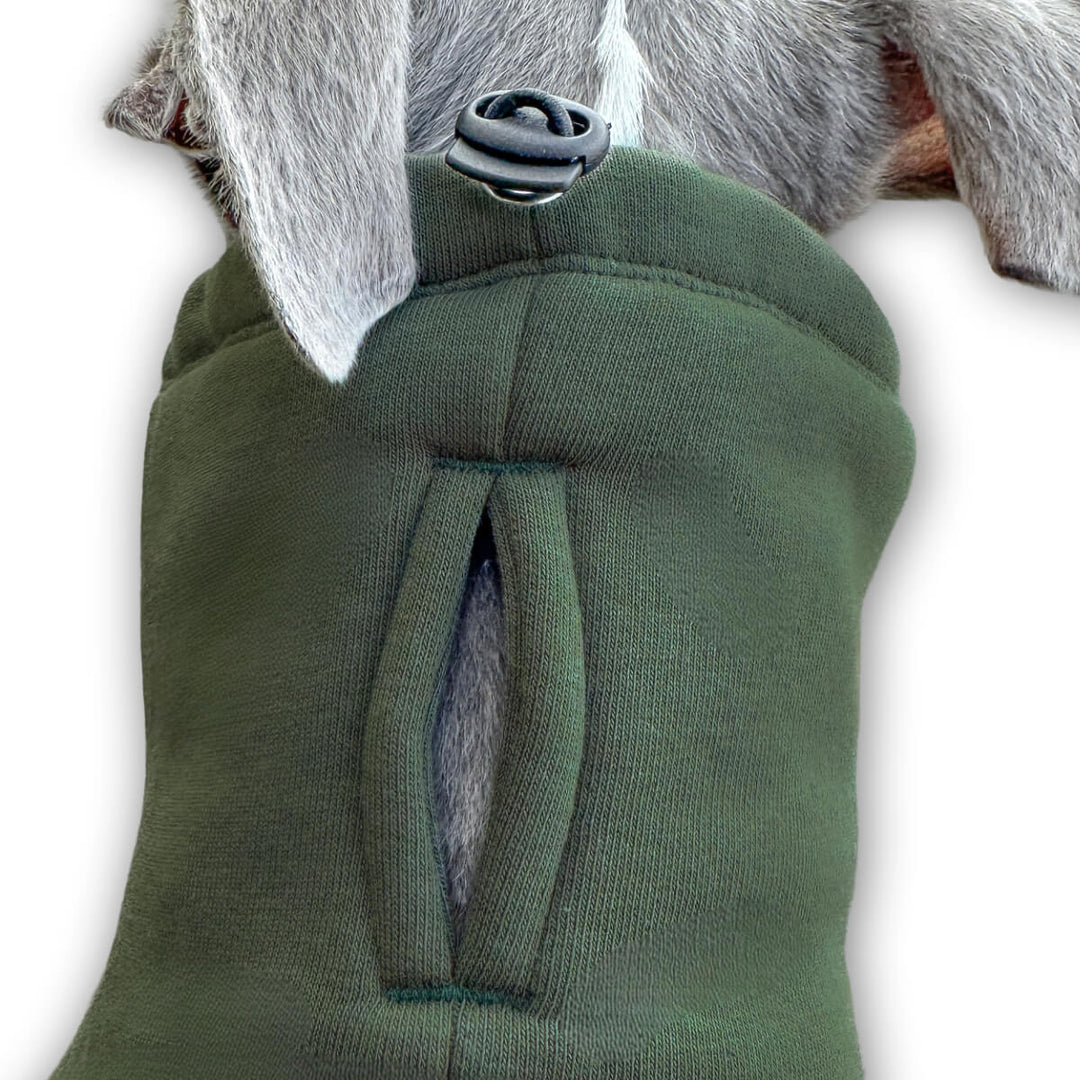 Windhund Pullover in khaki Pullover für italienische Windpiele und Whippet Welpen Kragenschlitz