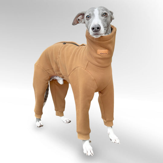 Windhund Pullover Overall in hellbraun Pullover für italienische Windpiele und Whippet Welpen
