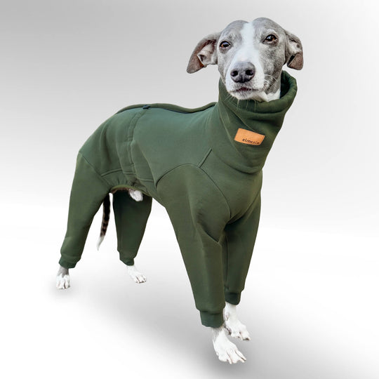 Windhund Pullover Overall in khaki Pullover für Windhunde, Whippet, Galgo, Podenco, Greyhound