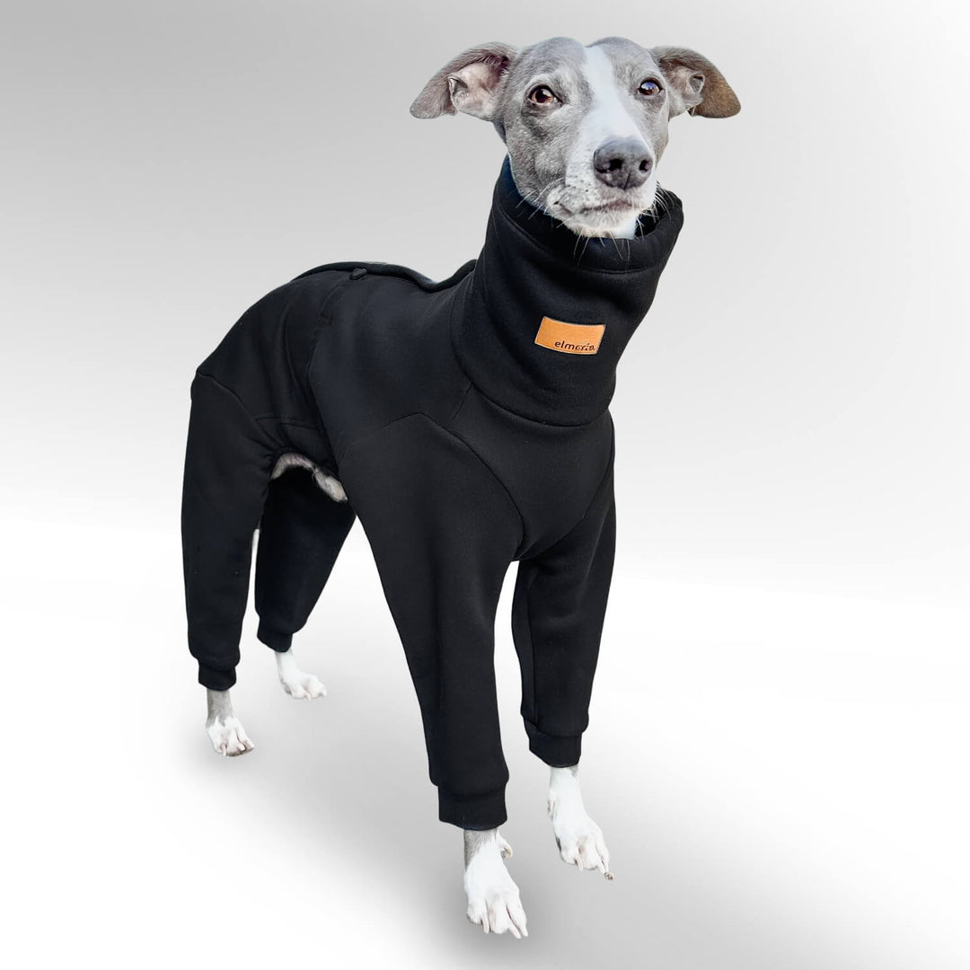 Windhund Pullover Overall in schwarz Pullover für italienische Windpiele und Whippet Welpen