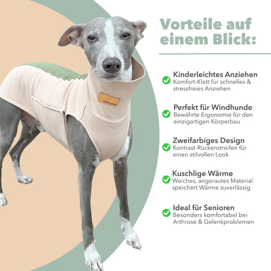 Grauer Whippet mit Windhundpullover Bellin in beige. Daneben alle Benefits aufgelistet.