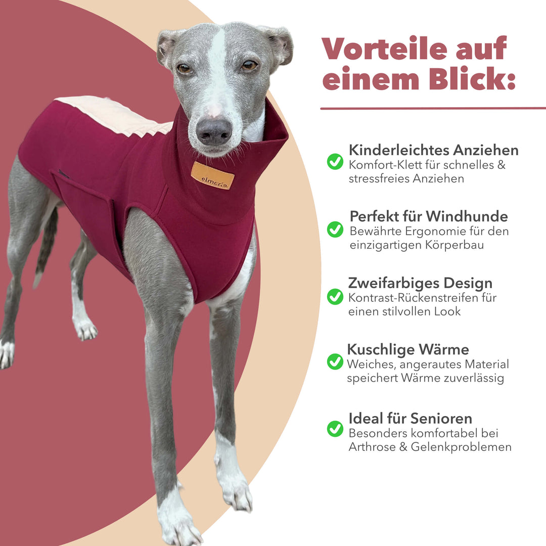 Grauer Whippet mit Windhundpullover Bellin in rot. Daneben alle Benefits aufgelistet.