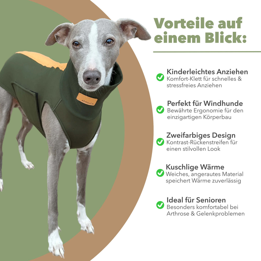 Grauer Whippet mit Windhundpullover Bellin in khaki. Daneben alle Benefits aufgelistet.