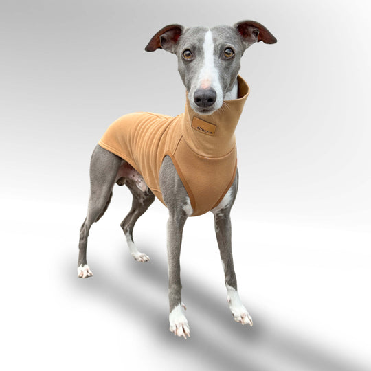 Windhund Pullover in hellbraun braun Pullover für Windhunde, Whippet, Galgo, Podenco, Greyhound