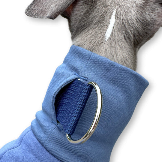 Windhund Pullover in jeansblau Pullover für Windhunde, Whippet, Galgo, Podenco, Greyhound Kragenschlitz