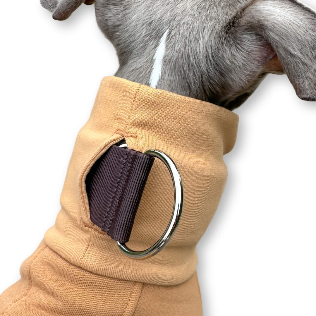 Windhund Pullover in hellbraun braun Pullover für Windhunde, Whippet, Galgo, Podenco, Greyhound Kragenschlitz