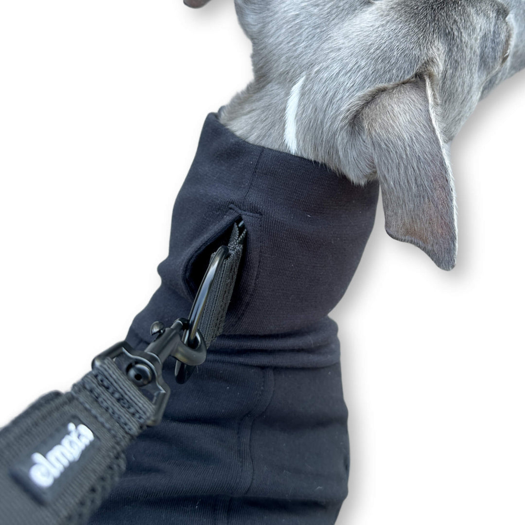 Windhund Pullover in schwarz Pullover für Windhunde, Whippet, Galgo, Podenco, Greyhound Kragenschlitz