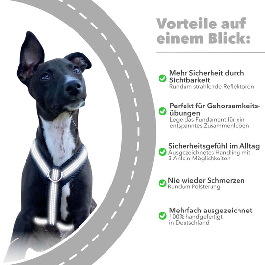 Windhundgeschirr REFLEX Welpe/Windspiel "Black"